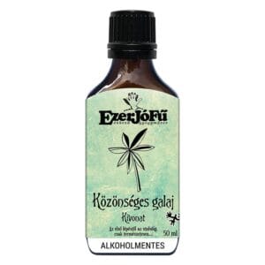 Extract de Sânziene Albe Galium Mollugo Ezerjofu, imagine principală produs, flacon extract sânziene albe pe fundal alb, unghi frontal.